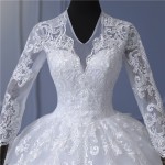 Elegant V-Neck Wedding Dresses Long Sleeve Tulle Lace Applique Bridal Gown Train